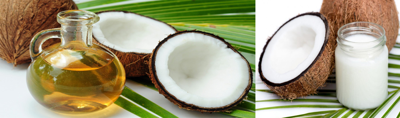 coconut-based-products-exporters-sri--15
